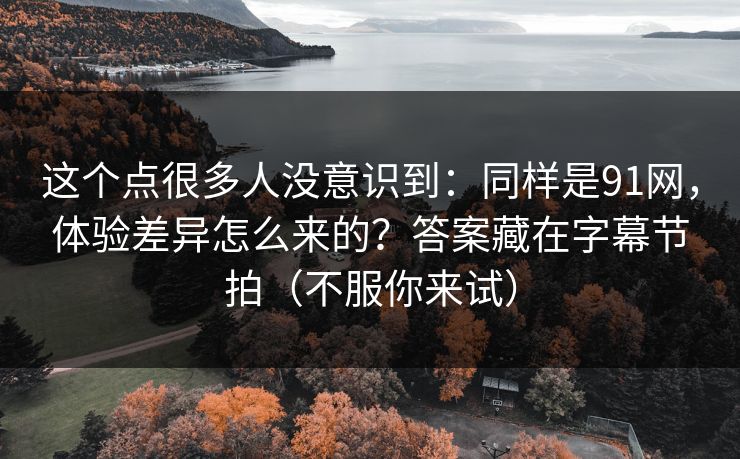 这个点很多人没意识到:同样是91网,体验差异怎么来的?答案藏在字幕节拍(不服你来试)