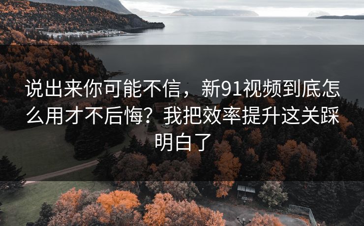 说出来你可能不信,新91视频到底怎么用才不后悔?我把效率提升这关踩明白了